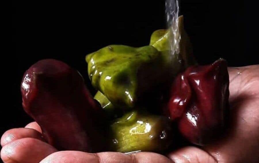 यह कितना फायदेमंद है।